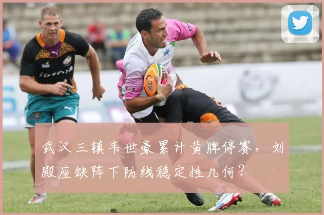 武汉三镇韦世豪累计黄牌停赛,刘殿座缺阵下防线稳定性几何?